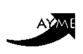 aymelogo.gif (1620 bytes)